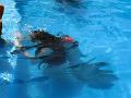 0704 playa del carmen 16
